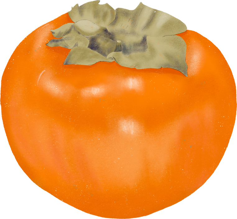 Tropical Persimmon Fruit