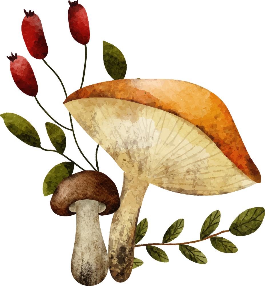Watercolor Autumn Mushroom