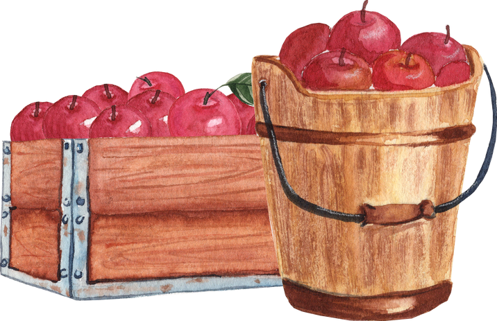 Autumn decor apples
