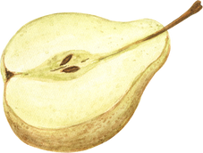 Slice of Pear Watercolor