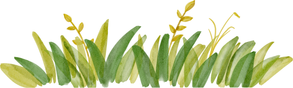 Watercolor bush illustration