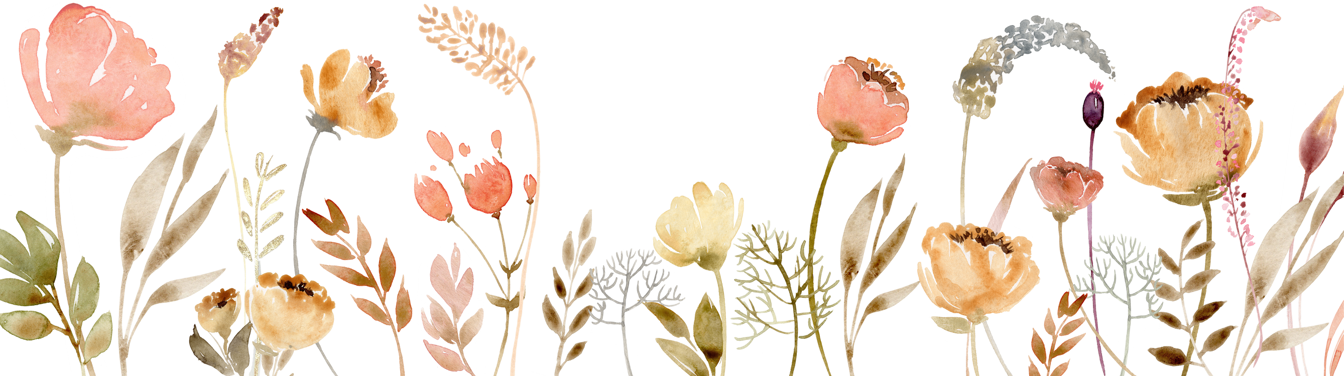 Watercolor Frame With Wild Field Flowers And Plants