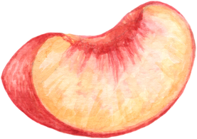 Peach fruit watercolor elements clipart