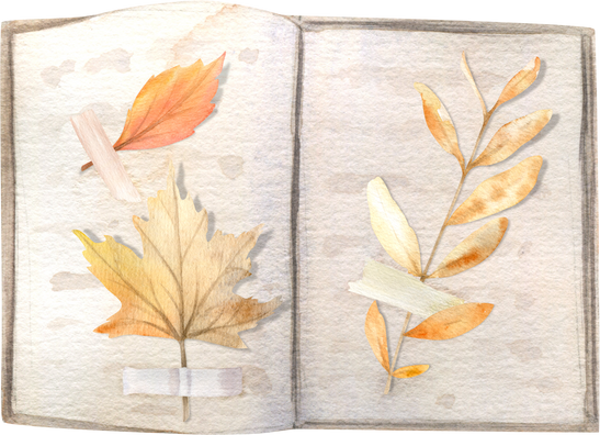 Watercolor Autumn Herbarium