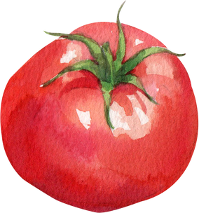 Juicy Tomato Fruit